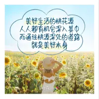 《綠皮書》里有一句臺詞:

“不管你做什么都要做到極致，上班就認真工作，笑就盡情大笑，吃東西時就像是最后一餐那樣去享受。

非常佩服的一類人就是那種，一旦對什么生長出了興趣，就能立刻毫無耽誤地開始學開始做，行動力非常強，最重要的是，在這個過程中他們絲毫沒有感到痛苦、猶疑，只有百分之百地專注，因而透出幾分興致盎然來，非常自若的樣子。有一種銳不可當的氣勢。配圖