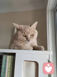 沒有人能在不斷被指責，被批評，被訓斥的情況下把事情做好。孩子愿意把事情做好，是因為感到了被理解，得到了鼓勵和支持。只有讓孩子感受到自己是重要的、是值得被愛的、是被尊重的，他才能有充足的能量朝著父母的期待成長。早安，朋友！配圖