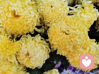 父母去责怪、打骂孩子，便滋生了他们的自卑和拘谨；父母去包揽、替代孩子，便导致了他们的漠视和自私；而父母去示范和教导，让孩子试着自己去承担，才能培养他们的责任心和面对错误的勇气。早安，朋友！配图