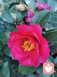 父母若是一味地用权威控制打压和羞辱孩子，往往只会激发出孩子的攻击性。导致他们要么向外攻击，与父母对着干；要么向内攻击自我，变得自暴自弃。反之，给予尊重却能很好地激发出孩子内心的能量，让他学会自我负责，自我成长。早安，朋友！配图