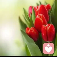 青春期孩子不斷的挑釁、叛逆，不僅是因為想要獨立的念頭，更是因為想要試探父母的愛，想要知道父母愛的究竟是自己這個人，還是只是學習優異、乖巧聽話的符合父母期望的那個孩子。而父母能做的，就是理解并陪伴孩子，無條件地和孩子并肩而立，讓孩子感受到父母的愛，才能贏得他們的心，幫助他們成長的更優秀。早安，朋友！配圖