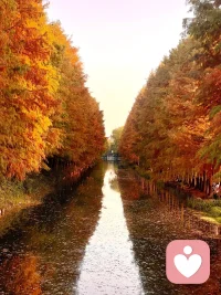 心理學家洪蘭博士說過：母親，是一個家庭的靈魂。媽媽的能量狀態(tài)，決定了孩子世界的色彩。智慧的媽媽，不會像蠟燭一樣去燃燒自己，犧牲自己。而是善待自己，肯定自己，為自己蓄滿能量，為孩子續(xù)航，為家庭揚帆。早安，朋友！配圖