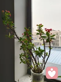 讓孩子幫忙做家務，不僅能培養孩子的責任感，還會讓孩子產生“我”有能力照顧好自己的信心，自信是孩子安全感的重要來源。早安，朋友！配圖