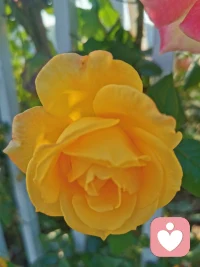 不要害怕孩子哭泣，只需要讓孩子知道，我們可以接納他所有的情緒，因為宣泄情緒是孩子學會處理情緒的第一步。早安，朋友！配圖