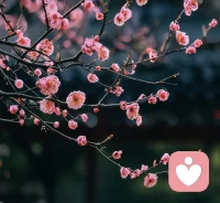 赞扬不是给孩子贴上“你真聪明”的标签，而是客观描述孩子的行为，真诚表达自己的感情，这样的评价让孩子感受到“我”可以掌控自己的行为，掌控感让孩子感到安全。早安，朋友！配图