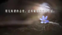 孩子和父母看世界的角度不一樣，孩子只能從自己出發(fā)看世界。高質(zhì)量的親子旅行，是父母允許孩子按照自己的想法和意愿去安排，全然不顧孩子的喜好和興趣，往往只能敗興而歸。早安，朋友！配圖