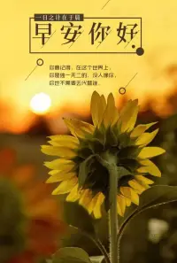 教育最大的成功，就是培養出一個幸福感滿滿的孩子。家長創設良好的家庭環境，給予孩子自由，堅持愛與規矩并行，孩子才會成長得更加自信、樂觀，從而收獲幸福、充實的人生。早安，朋友！配圖