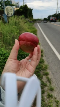 “孩子就像一棵小樹苗，家庭環境就是澆灌的水。如果水質過差，樹苗不僅不會成為參天大樹，還會枯死。”教育孩子是個長期的過程，不僅孩子需要成長，父母也需要繼續提升自己。一個孩子最大的幸運，就是擁有愿意為他們改變的父母。早安，朋友！配圖
