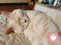 生命是一個循環，每個階段都有其獨特的意義。真正的美不僅僅在于外表，更在于我們內心的善良和對他人的關懷，成為影響他人的力量。
女性賦權，不僅僅是為了讓女性變得更加強大，更是為了讓這個世界變得更加美好。美麗是我們共同的信仰。配圖