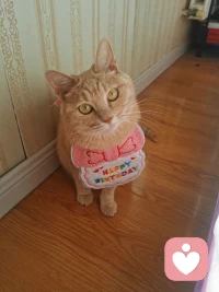 《正面管教》一書寫道：在糾正孩子的行為之前，先要贏得孩子的心。想要孩子改變，我們首先要給到孩子“愛的教育”，做好這三個修行。一是修耳朵，用傾聽打開孩子的心門。二是修嘴巴，用暖語賦予孩子變好的動力。三是修眼睛，多看孩子的閃光點。早安，朋友！配圖