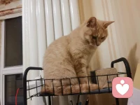 一句贊揚(yáng)的話，足以影響孩子的一生。而真正智慧的父母，都懂得從沙礫中找到珍珠，發(fā)現(xiàn)并認(rèn)可孩子的長處。多用具體的、誠懇的、含細(xì)節(jié)的語言肯定孩子，孩子才會(huì)建立穩(wěn)定的自信心和自我效能感。早安，朋友！配圖