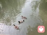 看破的是道理，看透的卻是勇氣，而道理和勇氣之間，隔著一個自己。看透的人才能真正的看破，遇到了障礙與困擾，會從所處的局中抽身而出，作為當局者會迷，卻以局外人來自知。看破的人只有不斷的剝離自己原本內心的堅持才能發現生命的真相配圖