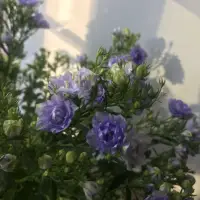 心理咨詢是傾聽的藝術(shù)。配圖