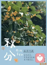 日光夜色兩均長，
署退秋滑氣轉(zhuǎn)涼。配圖