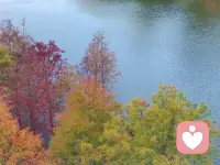 哲學家克里希那穆提所說：“不帶評論的觀察是人類智力的最高形式。”配圖