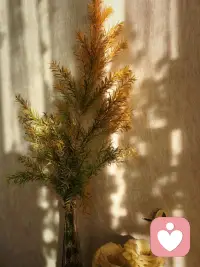 盧森堡博士指出，非暴力溝通是指導我們轉變談話和聆聽的方式。它讓我們不再條件反射式地反應，而是去明了自己的觀察、感受和愿望，有意識地使用語言，既誠實、清晰地表達自己，又尊重與傾聽他人。
它涵蓋了觀察、感受、需要、請求四個要素。配圖