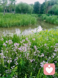 你煩躁、不開心的時候，有權力適當的發呆、躺平、甚至做些無聊的事情……配圖