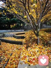 你有多強大，這個世界就會有多公平配圖