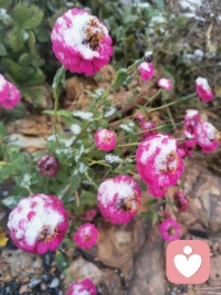 人有大格局，便深知生活的常态是高低起伏。没有永远的一帆风顺，得到时是经验，得不到时是经历。配图