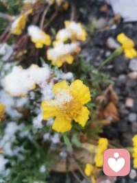 人有大格局，便深知生活的常态是高低起伏。没有永远的一帆风顺，得到时是经验，得不到时是经历。配图