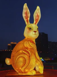 祝大家兔年吉祥，事事順心……配圖