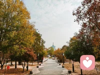 平臺為大家提供心理疏導服務。請個別不尊重女性的人自重。這里是正規平臺。請遵守平臺規則。配圖