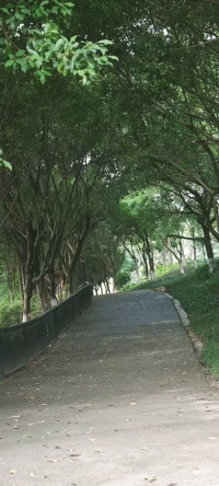 保持你內(nèi)心的光，因?yàn)槟悴恢勒l(shuí)會(huì)因你的光走出黑暗。