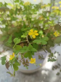 春暖花開的季節，你的心情是否也會因此而愉悅呢？如果沒有，那么我們聊一聊吧??配圖