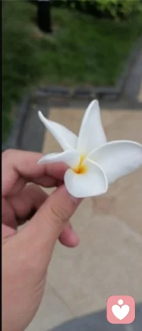 上帝為了補償人間諸般煩惱事，給了我們希望和睡眠。——伏爾泰配圖