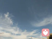 王老師今天的充電學(xué)習(xí)很充實(shí)，稍事休息，繼續(xù)服務(wù)來訪者。加油！配圖