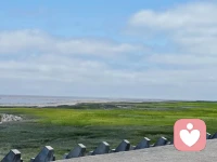 在道德與不道德的區(qū)分之外，有片田野。-我將在那里見你。--有需要可以來田野找我咨詢配圖