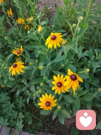 充實的一天。王老師今日分享詞語“交流”。用心體會一下！加油！配圖