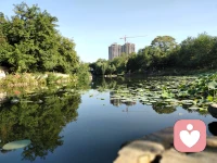 每個人的內心世界都是唯一的，是看不見摸不著的，也是豐富多彩、不斷發展變化的。無論經歷成功與失敗，幸福與悲傷；無論是對未來充滿憧憬，還是灰心喪氣，人生都是一場找尋和諧的旅程。加油！配圖