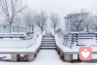 我們獲得生命力，主要是從我們的本能中獲得。當一個情境需要生命力的時候，由于本能的存在，在本能中激發出了生命力！加油！配圖