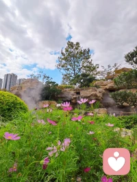 有一些人會(huì)希望擁有“魔法”：讓自己的目標(biāo)能夠在一個(gè)晚上就達(dá)成，使自己能夠在短時(shí)間內(nèi)就擁有強(qiáng)大的能力。這種“魔法”，在精神分析中常和全能感聯(lián)系在一起。隨著個(gè)體的成長(zhǎng)，全能感就會(huì)逐漸減少，取而代之的是現(xiàn)實(shí)感。經(jīng)常幻想獲得“魔法”，就容易產(chǎn)生心理問題。加油！配圖