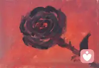 善行，無傷害，關(guān)注，尊重隱私！加油！配圖