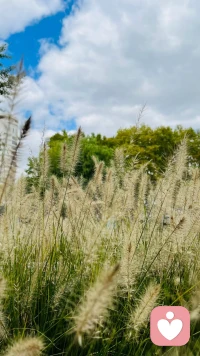 又是非常充實的一天！加油！配圖