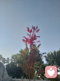 今天在書上讀到一句話“幸福不在于你得到多少，而在于還有人比你過得更差”。這讓我想到了另外一句“所有的幸福都來自于比較，所有的痛苦也都來自于比較”。取舍之間，大有不同。加油！配圖