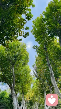 情感有兩種，一種是由現(xiàn)實(shí)刺激激發(fā)的，比如有人贊揚(yáng)我，我就高興；有人責(zé)罵我，我就憤怒。還有一種是由過(guò)去刺激和現(xiàn)在刺激共同激發(fā)的，比如一個(gè)人有自卑的情結(jié)，聽到一句微小的批評(píng)就非常憤怒。這憤怒不僅僅是現(xiàn)在的憤怒，還有許多是過(guò)去積累的憤怒，有小時(shí)侯被父母打罵時(shí)的憤怒，有中學(xué)時(shí)對(duì)老師的憤怒……配圖