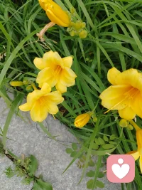 請(qǐng)不必壓制情緒，想哭就哭出來(lái)。
接受自己的各種心理變化，放心吧，你不可能每一次都失控。
請(qǐng)永遠(yuǎn)記住，那不是你，那只是你的情緒。
它不會(huì)永遠(yuǎn)在那里，你可以試著觀察它、感受它。
當(dāng)你認(rèn)清楚它的樣子之后，你就可以在最后一步熔化相片時(shí)，把它熔化掉。加油！配圖