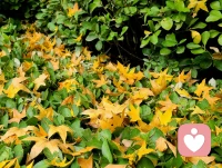 每個(gè)人都知道應(yīng)該如何解決自己的問(wèn)題，他只是不知道他知道。配圖