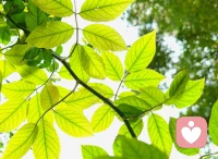 青春期矛盾心理有很多，依賴性與獨(dú)立性，開(kāi)放性與封閉性。是兩個(gè)主要的矛盾。處理好這些，就不容易出現(xiàn)心理問(wèn)題。配圖