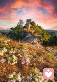 家庭中的每個成員均有自己對事物的內在解釋，這個認識決定著個體一貫的行為模式，反過來也受自己行為效果的制約和影響；同時每個成員的內在解釋與外在行為也會在影響家庭其他成員的同時，反過來接受其他成員的影響。配圖