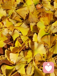 投射防御的運用是積極的、良性的，
對人際關系的建設具有明顯的促進作用；
但是投射防御的“過度運用”卻會使人際關系陷于崩塌。配圖