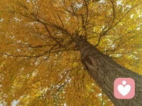 非常喜歡的一句詩“問渠那得清如許？為有源頭活水來”。
當思路受限，情緒堵塞，內心矛盾的時候。就需要“源頭活水”來清一清了。加油！配圖