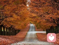 焦慮氣質的人，在本質上生活在孤獨和恐懼感的陰影下。悲觀、過度焦慮、神經質、敵意情感（潛在憤怒），這些都容易導致其深信自己所認可的事物，乃至發展成為妄想，而將可能引起危機的因素無限放大。配圖