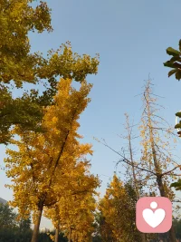 自我分化不良的人非常容易變得情緒化，失去自我控制，生活完全受周圍人對其反應所驅(qū)使。對其他人不是順從，就是逆反，或者逃避。配圖