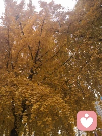 當我們把注意力放在自己的生存能力上，就會開始自我尊重，回顧往事的時候就不再只是懊悔，而會生出更多的驕傲感。配圖