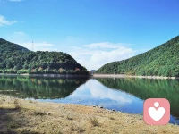 一個人的困擾、羞愧和罪惡感能夠在他的童年時期得以處理，當然是最理想的。
但是如果童年時沒有機會，任何時候開始處理也都不晚。
加油！配圖