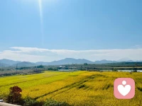 人類不是預先編好程序的機器，不是一定要按照某種方式、以某種特別的順序運作才能不出差錯。
相反，人類是一種非常有彈性又善于不停地調適和發展的生物，只要他的大腦足夠強大，就能夠持續地學習新東西，達成自己的目標。
加油！配圖